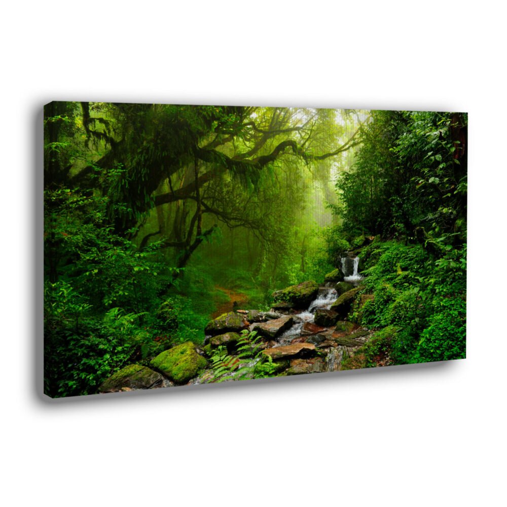 Canvas Prints