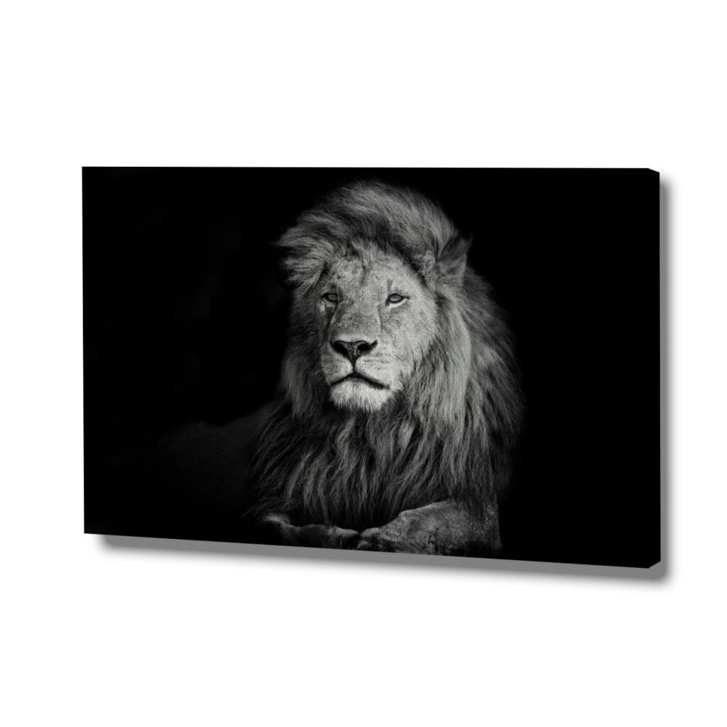 canvas lion